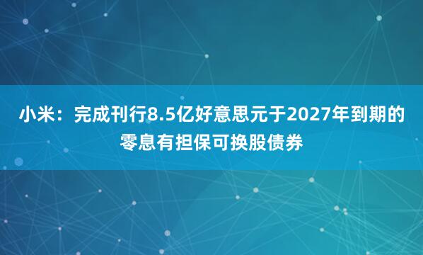 小米：完成刊行8.5亿好意思元于2027年到期的零息有担保可换股债券