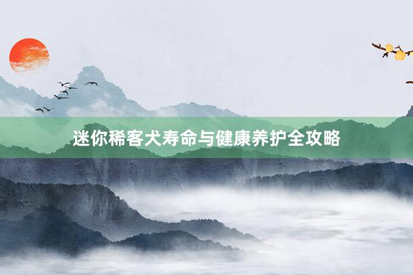 迷你稀客犬寿命与健康养护全攻略